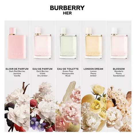 dupe of burberry her|scents like burberry her.